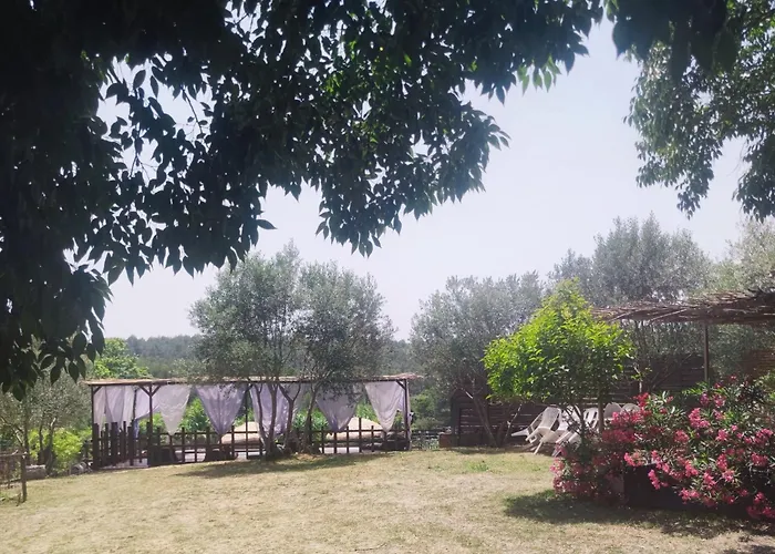 Le Jardin Suspendu Avec Piscine Et Jacuzzi Pour 15 Personnes